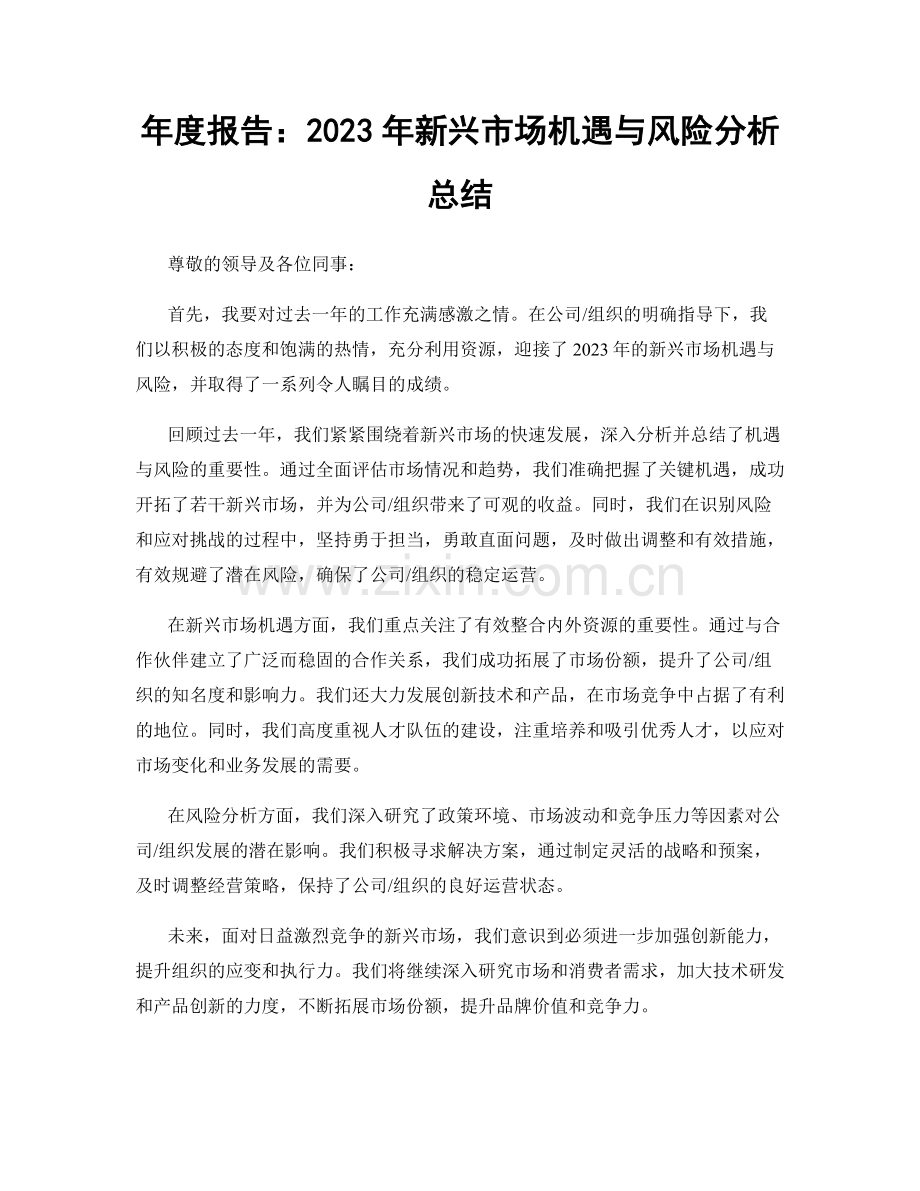年度报告：2023年新兴市场机遇与风险分析总结.docx_第1页