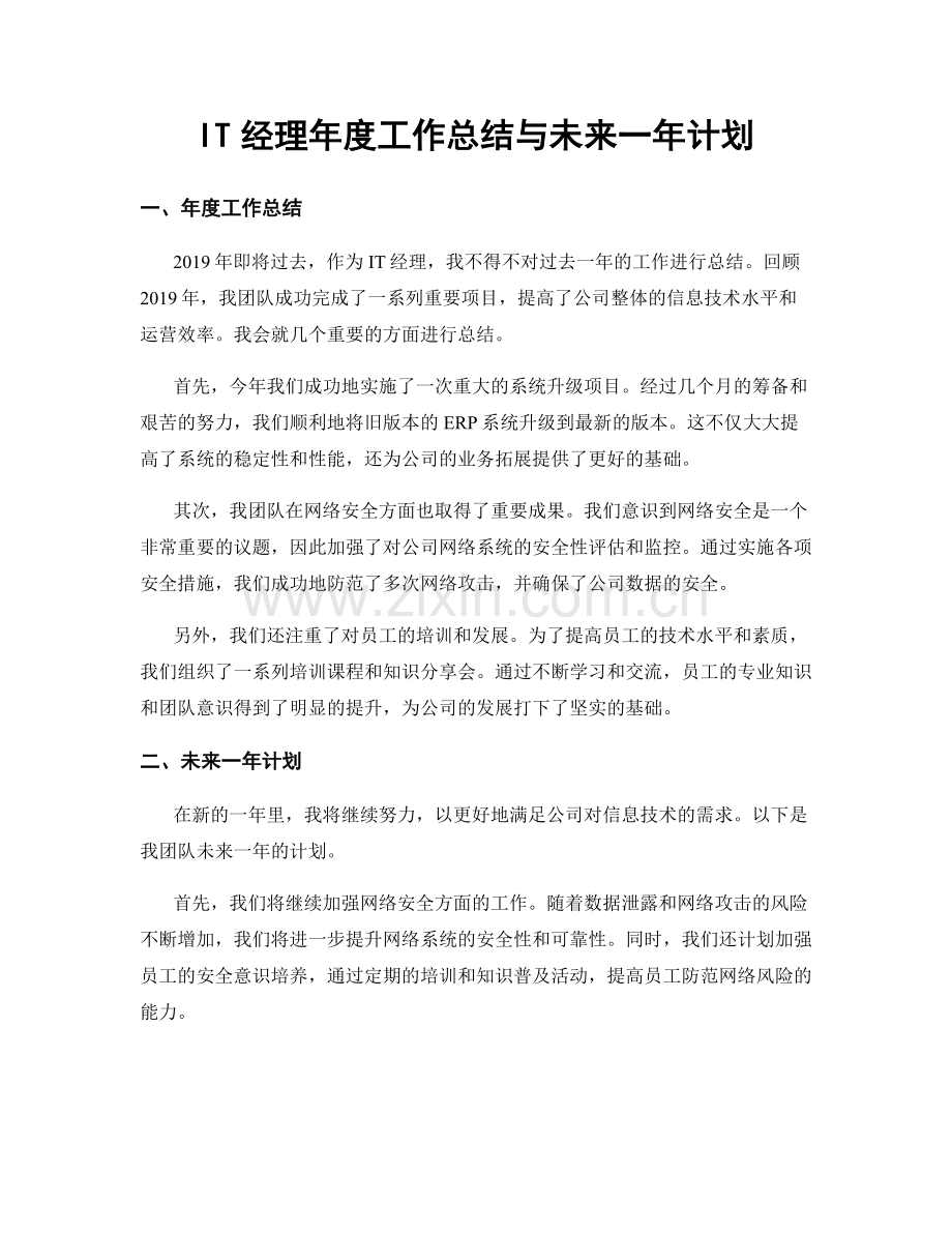 IT经理年度工作总结与未来一年计划.docx_第1页
