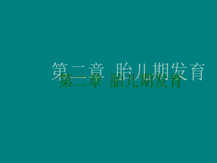 胎儿发育.ppt_第1页