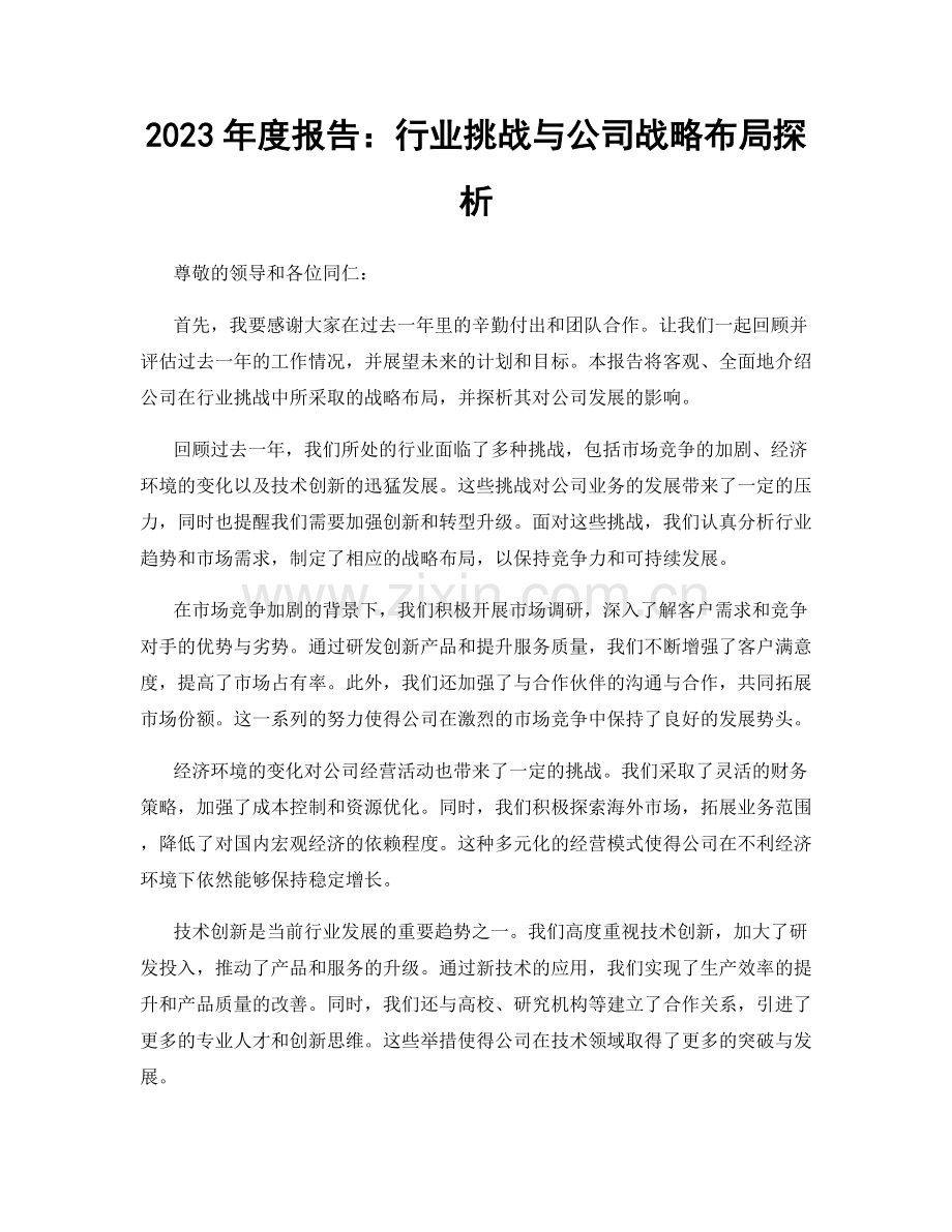2023年度报告：行业挑战与公司战略布局探析.docx_第1页