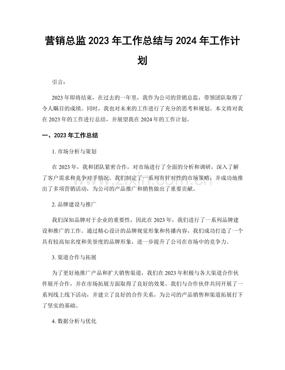 营销总监2023年工作总结与2024年工作计划.docx_第1页