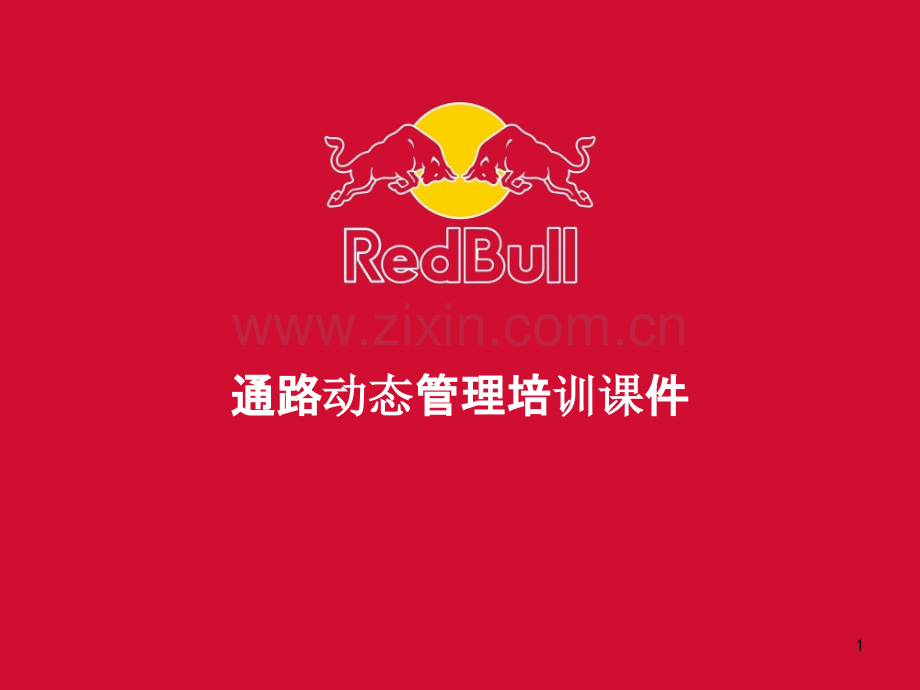 红牛公司通路动态管理-.ppt_第1页