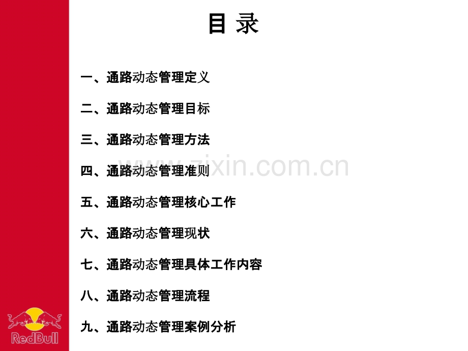 红牛公司通路动态管理-.ppt_第2页
