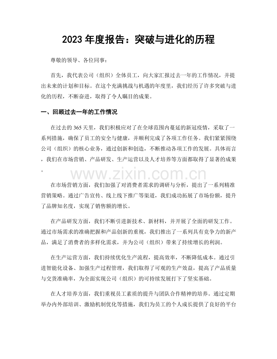 2023年度报告：突破与进化的历程.docx_第1页