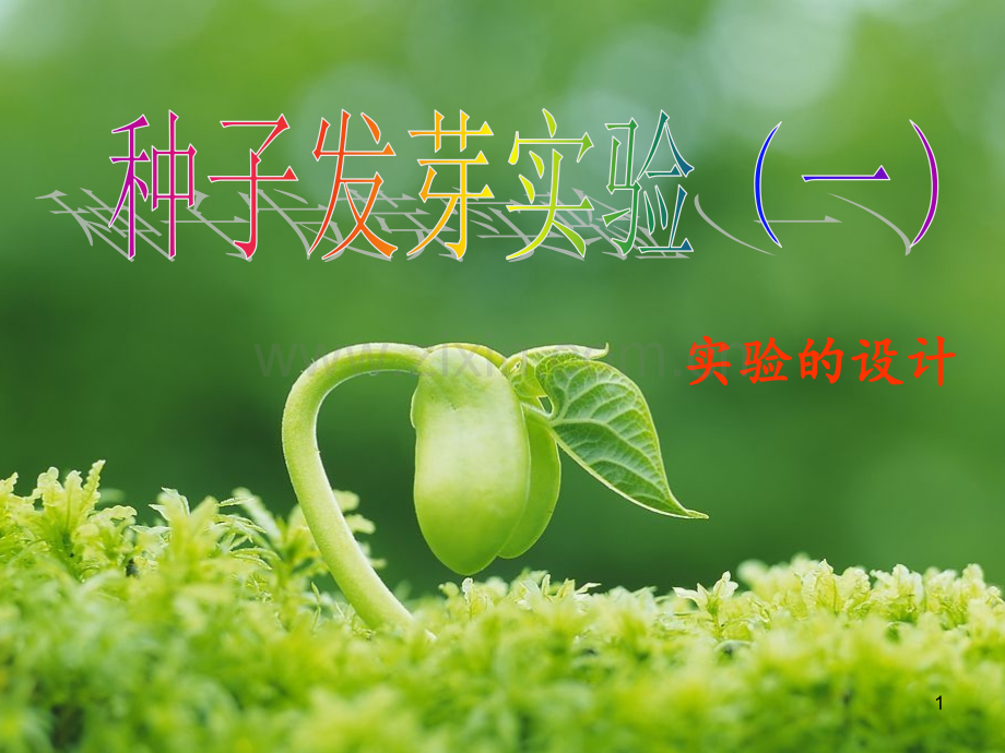 教科小学科学五上《1.1、种子发芽实验(一)》.ppt_第1页