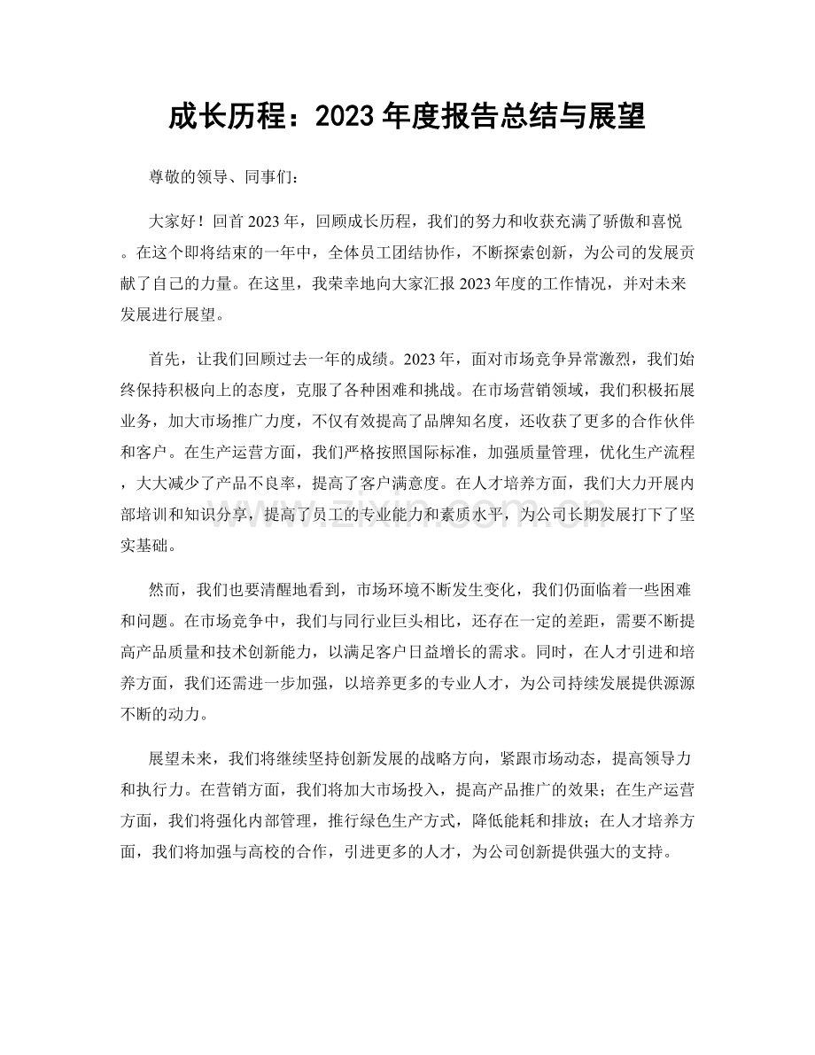 成长历程：2023年度报告总结与展望.docx_第1页