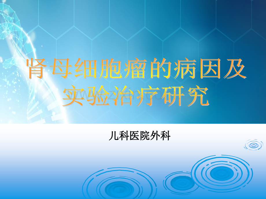 肾母细胞瘤的病因及实验治疗研究.ppt_第1页