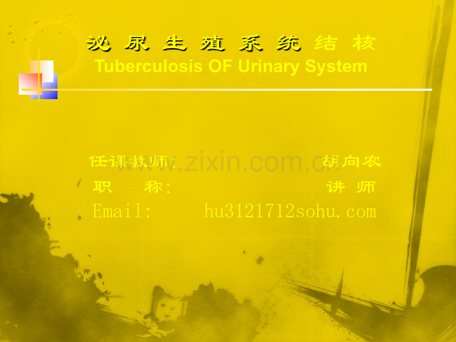 泌尿系统结核.ppt_第1页