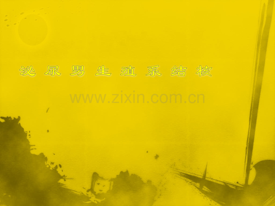 泌尿系统结核.ppt_第2页