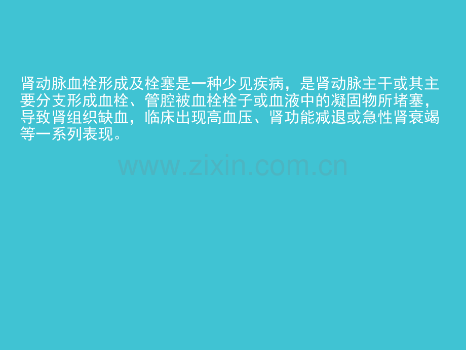 肾动脉栓.ppt_第2页