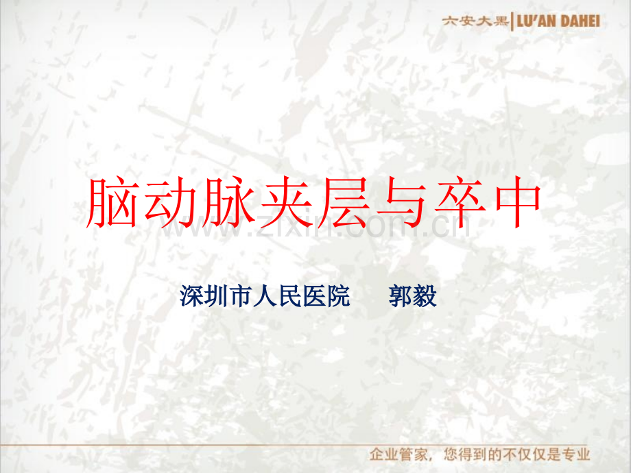 脑动脉夹层.ppt_第1页