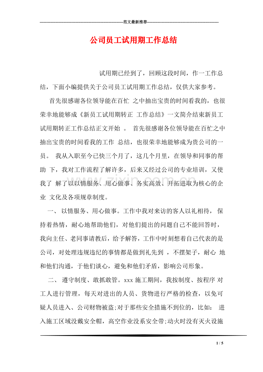 公司员工试用期工作总结.doc_第1页