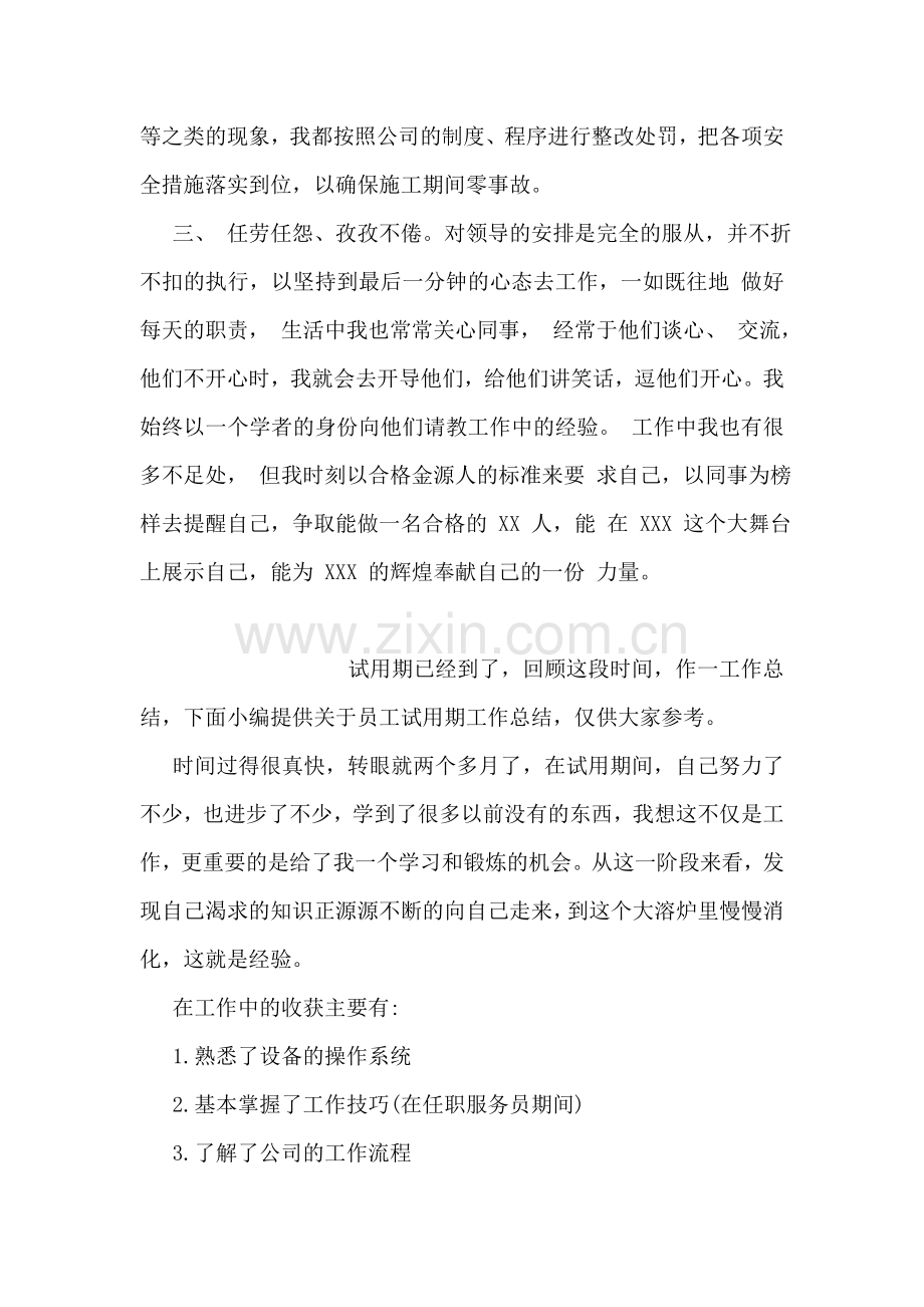 公司员工试用期工作总结.doc_第2页