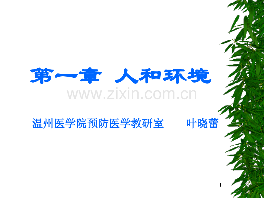 人和环境.pptx_第1页