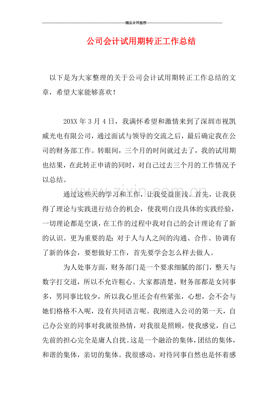 公司会计试用期转正工作总结.doc_第1页