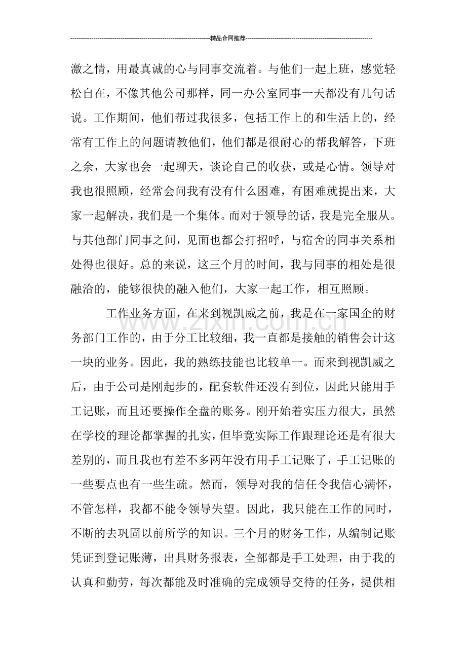 公司会计试用期转正工作总结.doc_第2页