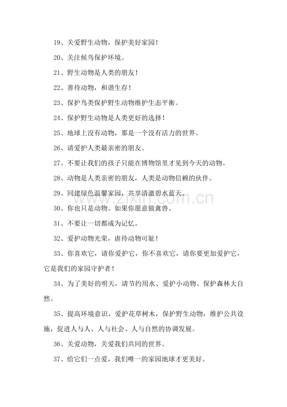 保护森林动物的标语.doc_第2页