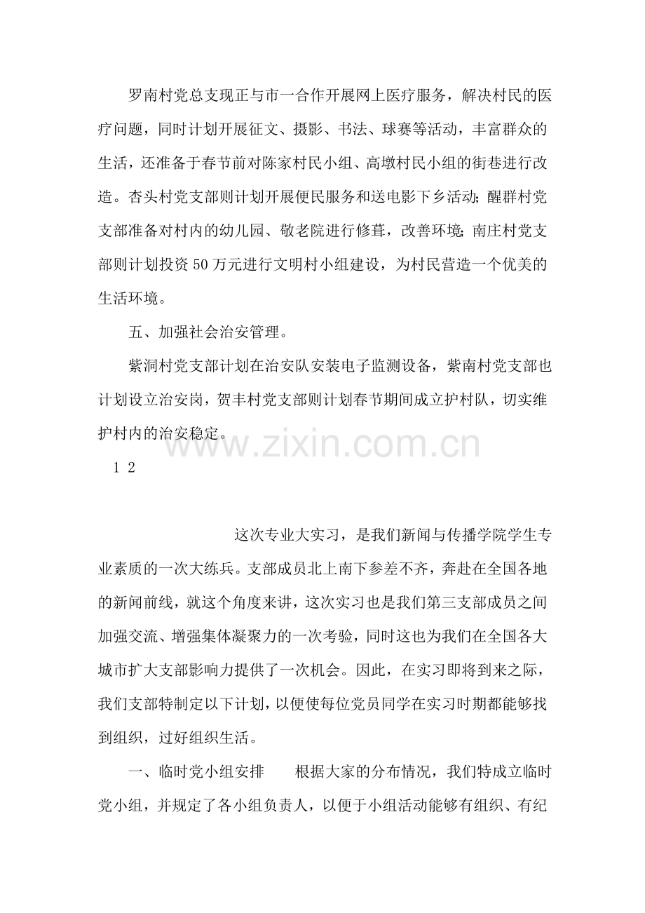 农村党支部工作计划.doc_第2页