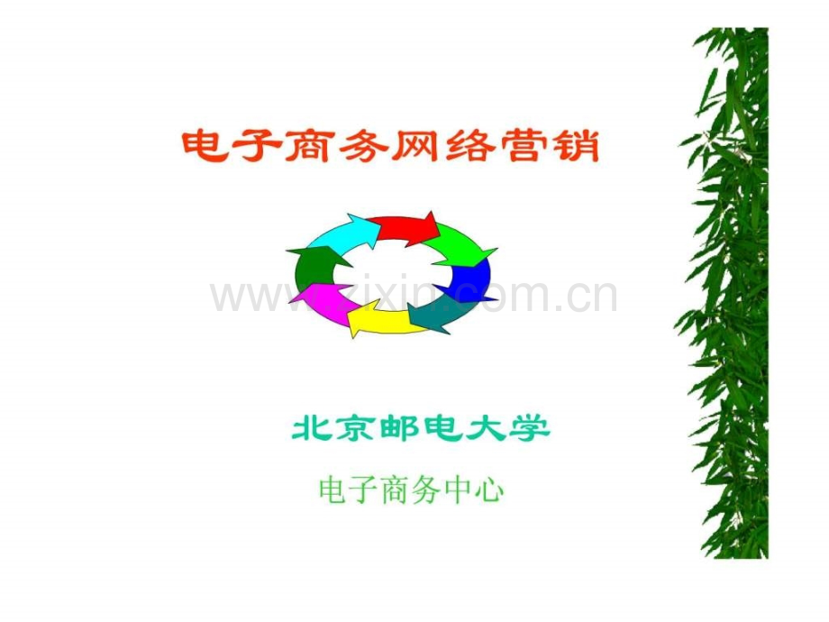 电子商务B2CB2B网络营销全攻略营销手法大全.pptx_第1页