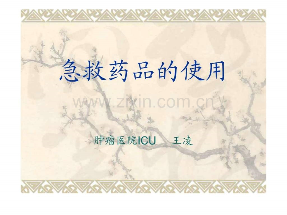 急救药品的使用.pptx_第1页