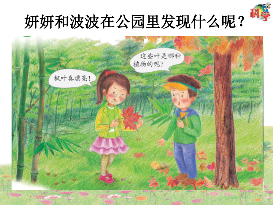 二年级上册枫树与竹子教学.pptx_第2页
