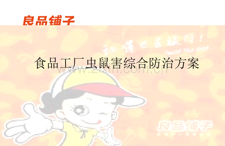 工厂虫鼠害综合防治方案.pptx_第1页