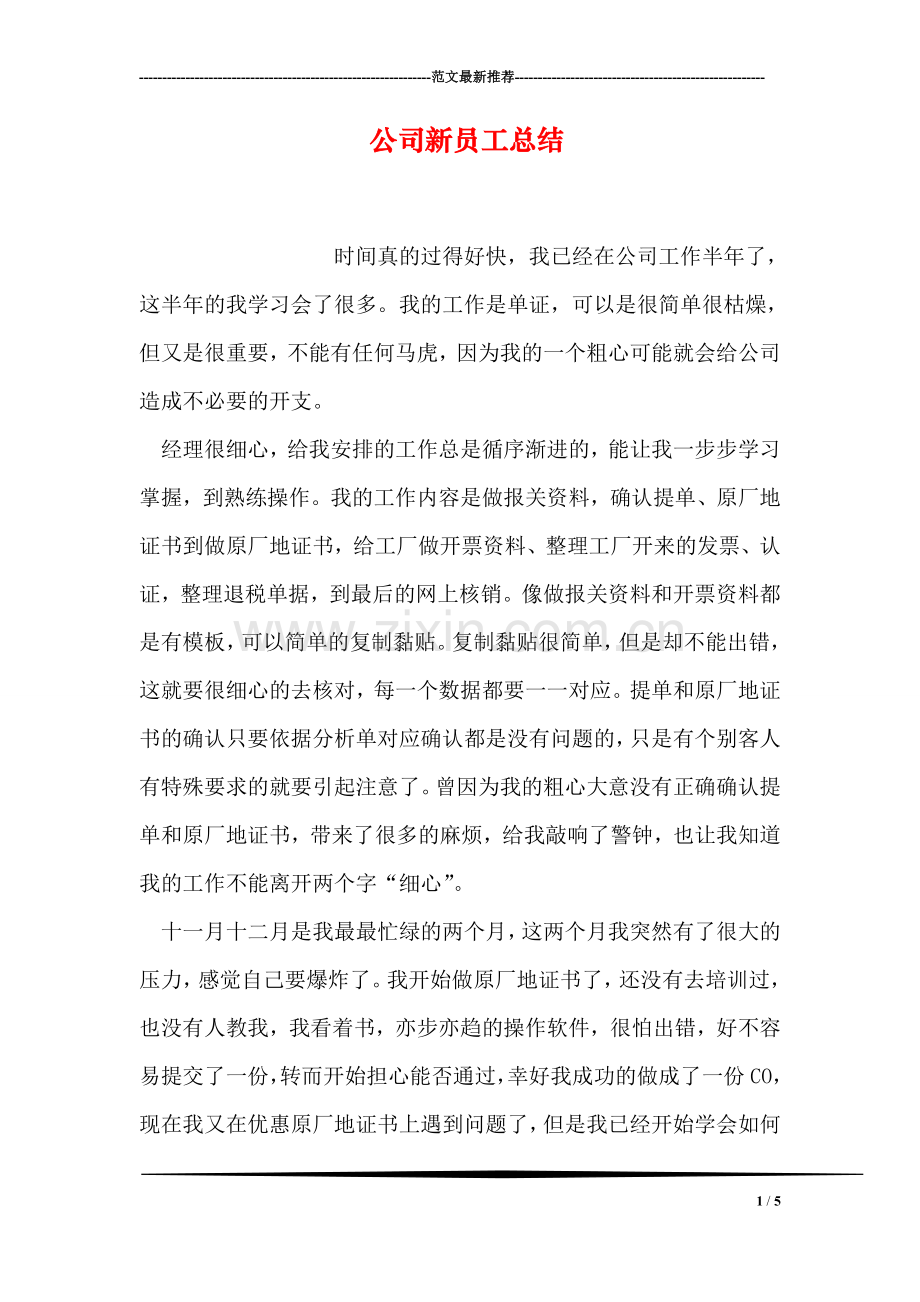 公司新员工总结.doc_第1页