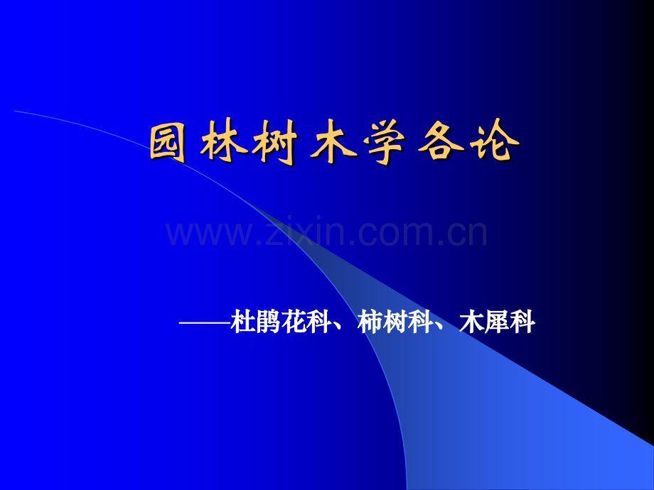杜鹃花科柿树科木犀科.pptx_第1页