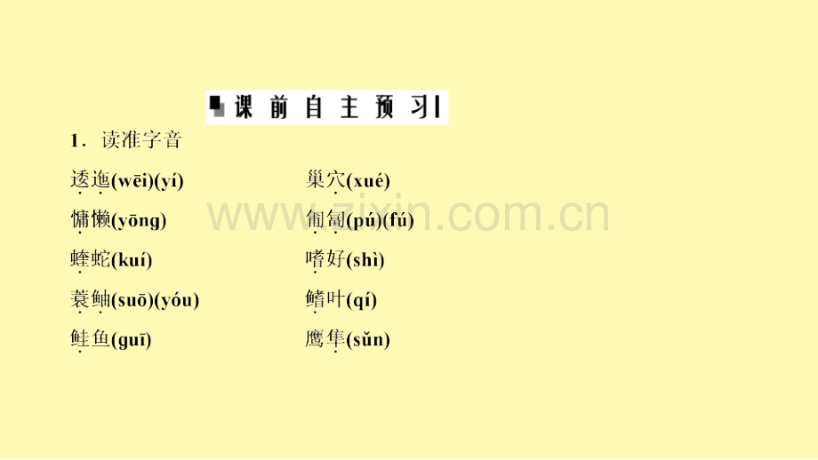 高中语文专题一科学之光第4课斑纹课件苏教版必修.ppt_第2页