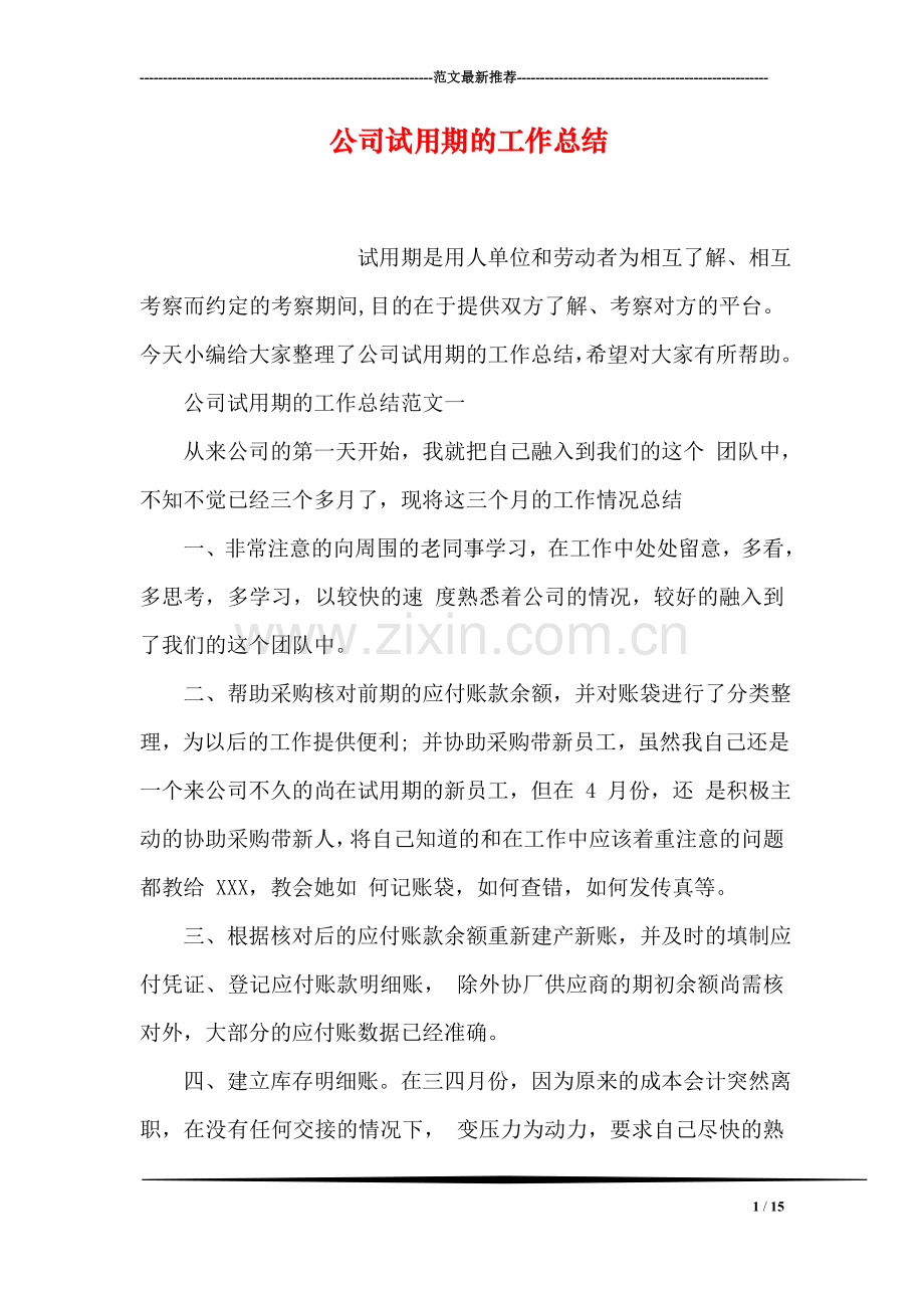 公司试用期的工作总结.doc_第1页