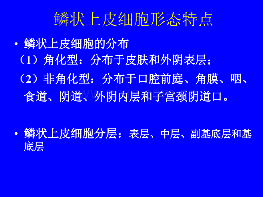 正常与炎症脱落细胞学形态.pptx_第1页
