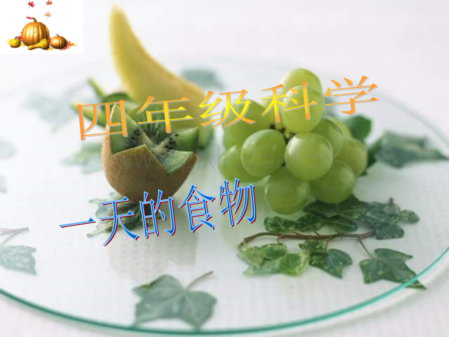 教科版小学科学四级下册一天的食物.pptx_第2页