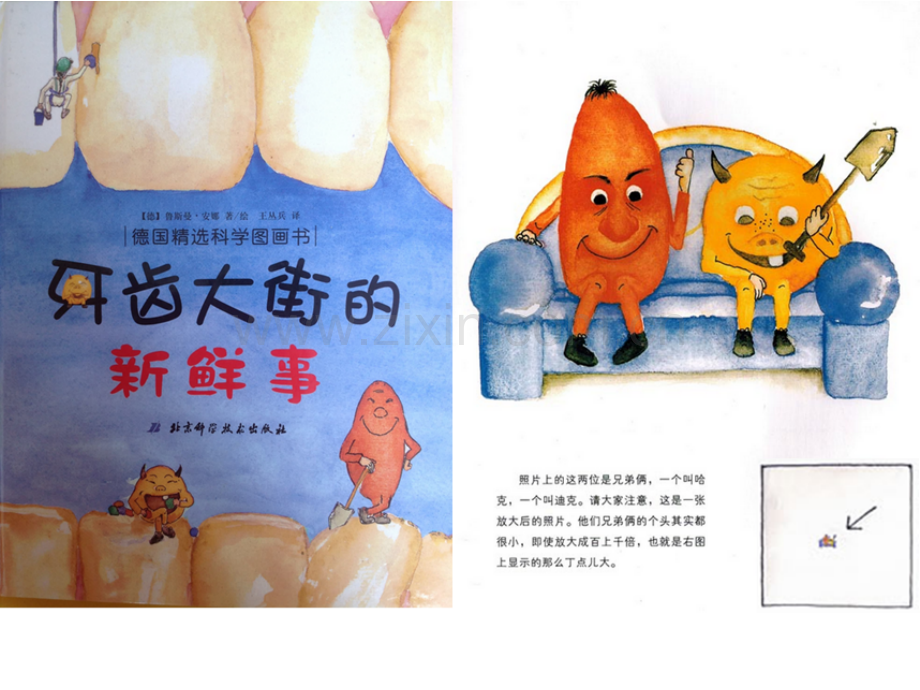 牙齿大街的新鲜事绘本.pptx_第2页