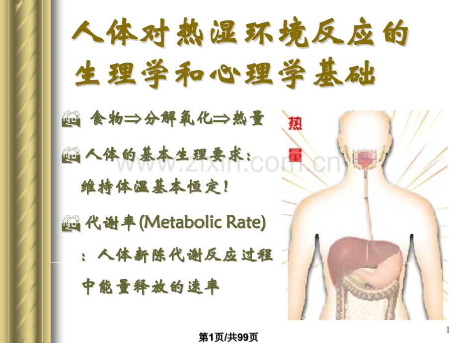 人体反应.pptx_第1页