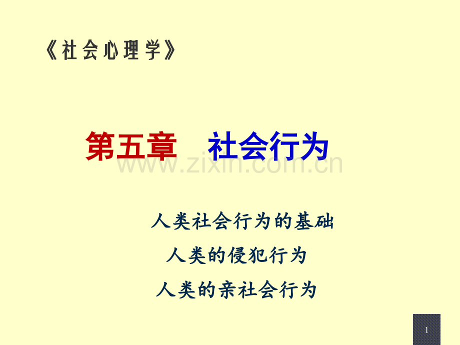 人类的社会行为.pptx_第1页