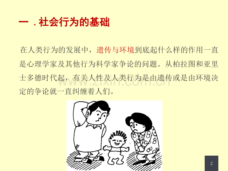 人类的社会行为.pptx_第2页