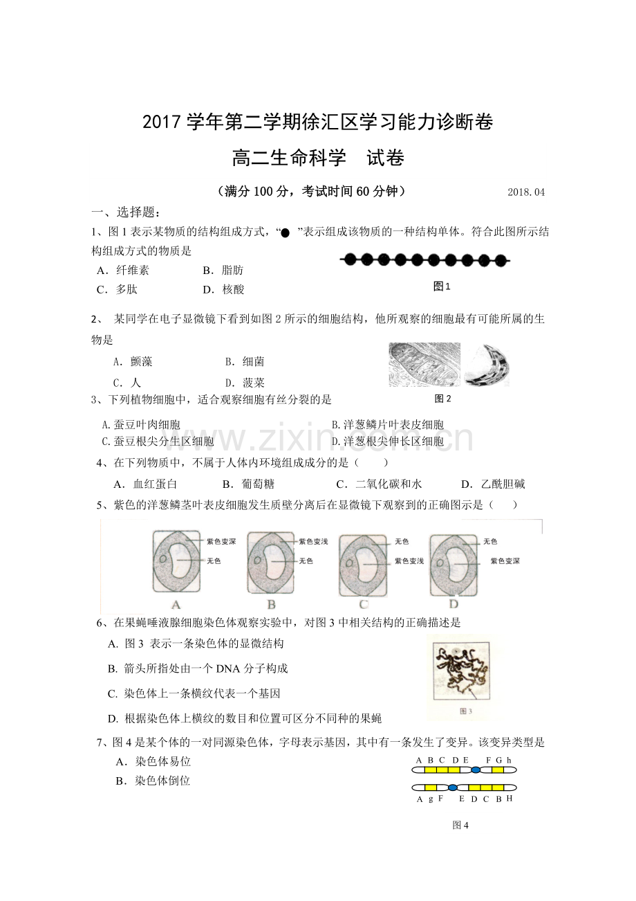 上海市徐汇区2017生命科学等级考二模试卷及参考答案.doc_第1页