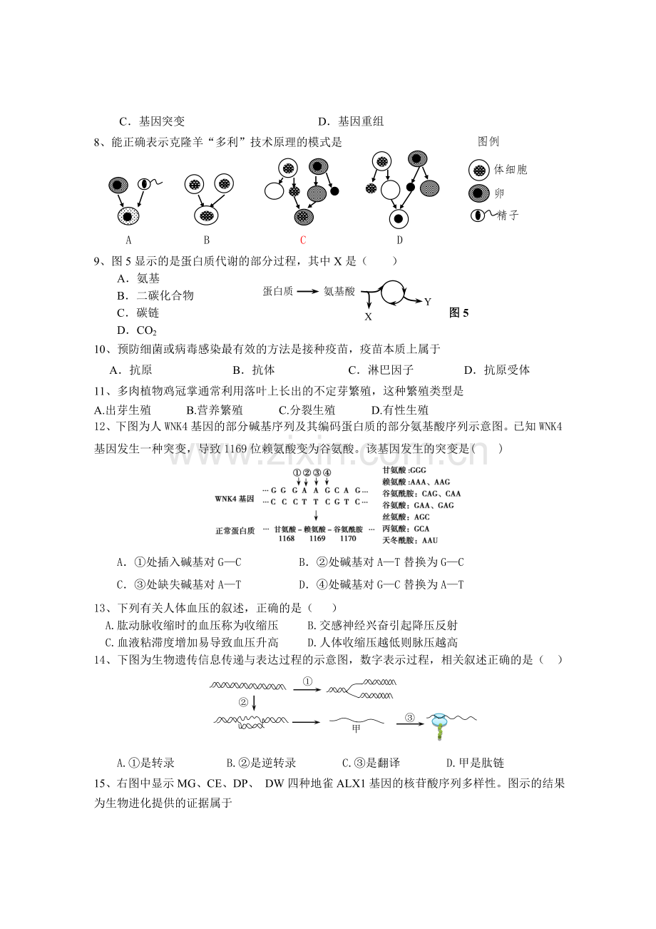 上海市徐汇区2017生命科学等级考二模试卷及参考答案.doc_第2页