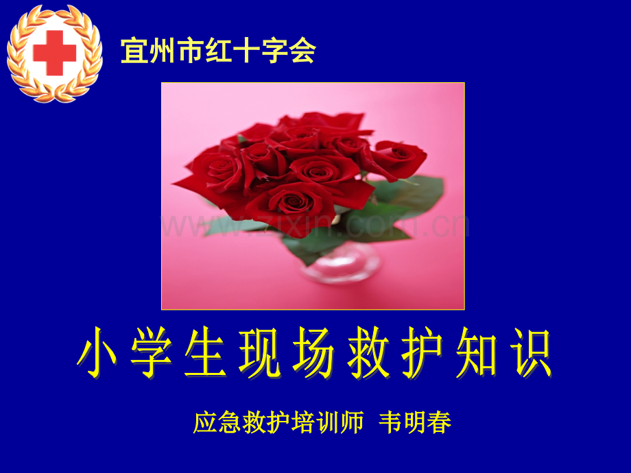 小学生安全救护知识6种技术.pptx_第2页