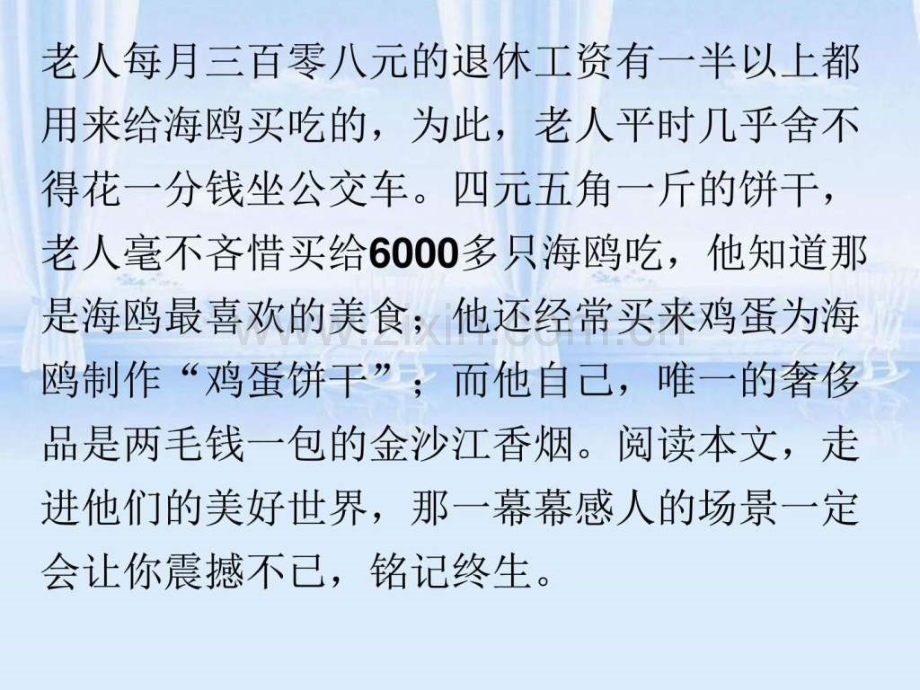 老人与海鸥图文文库.pptx_第2页