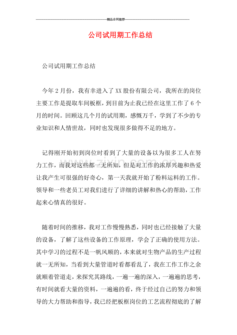 公司试用期工作总结.doc_第1页