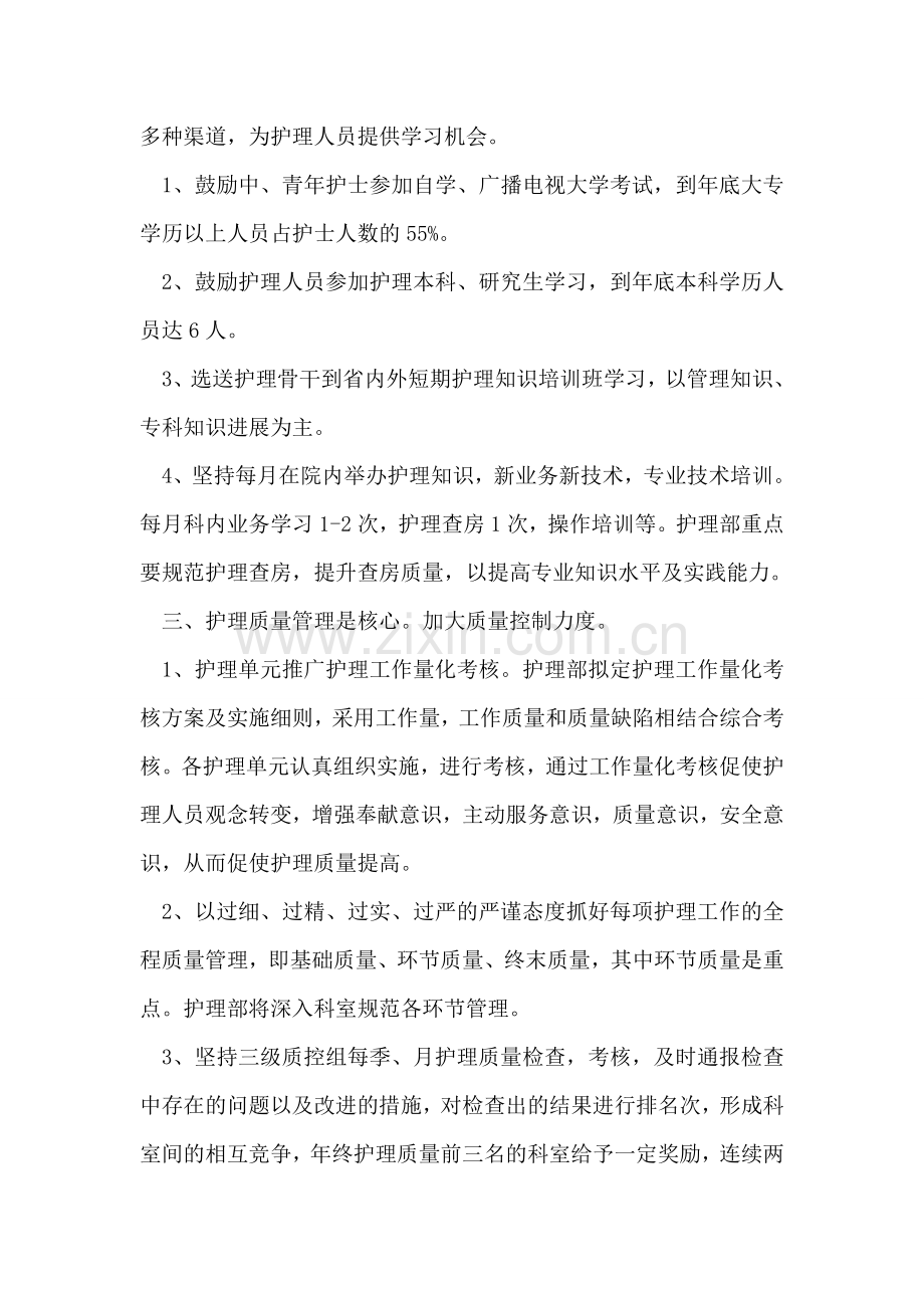 医院护理工作计划.doc_第2页