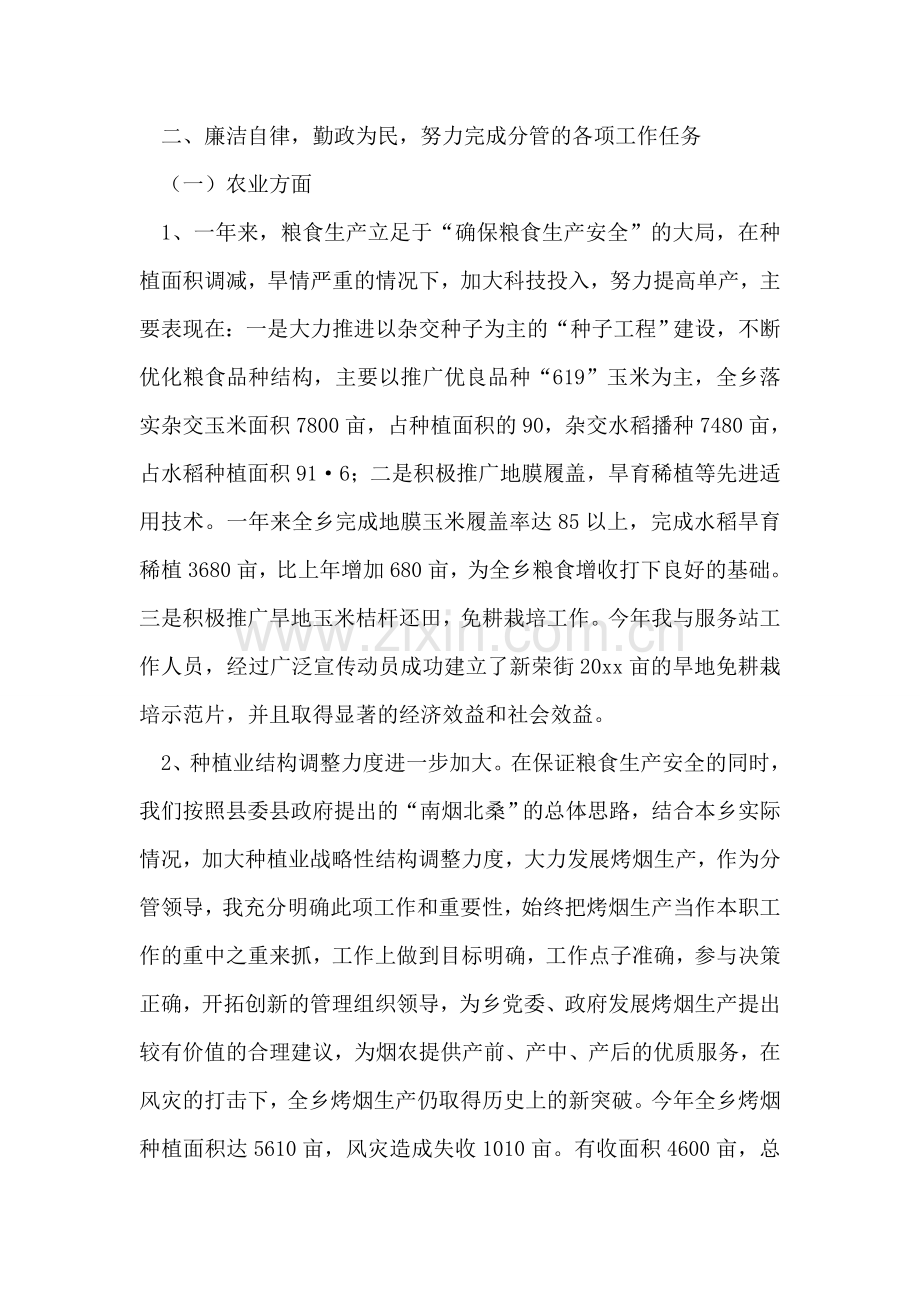 乡政府副职领导述职报告.doc_第2页