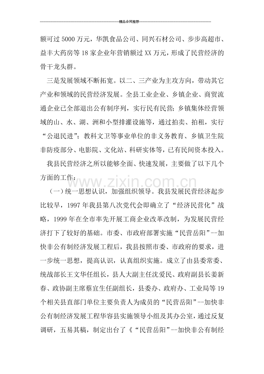 县民营年终总结.doc_第2页