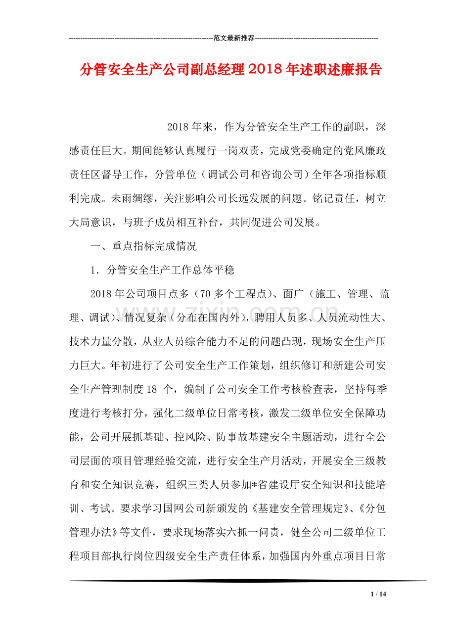 分管安全生产公司副总经理2018年述职述廉报告.doc_第1页