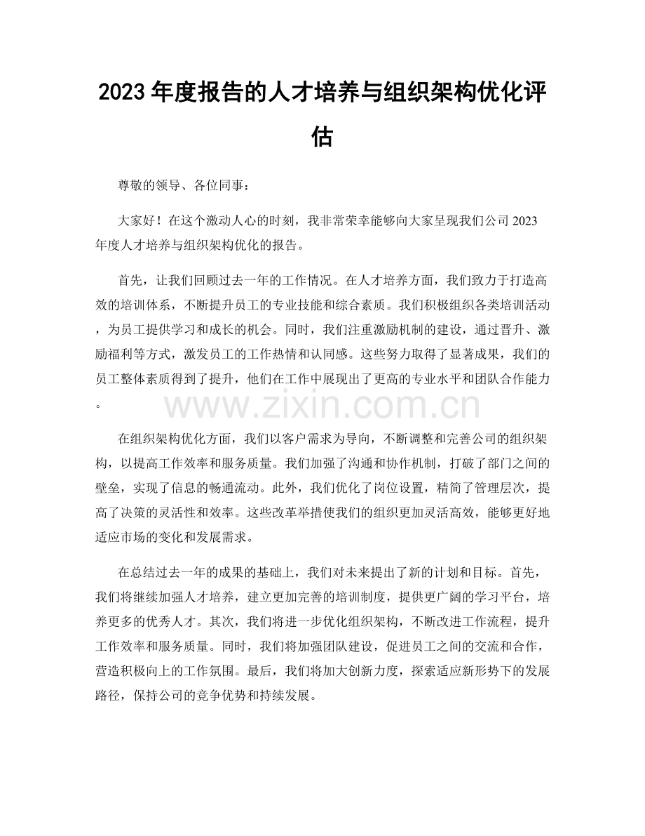 2023年度报告的人才培养与组织架构优化评估.docx_第1页