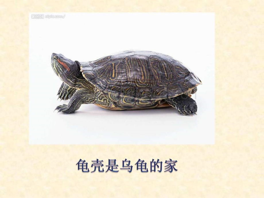 诗歌温暖的家图文.pptx_第2页