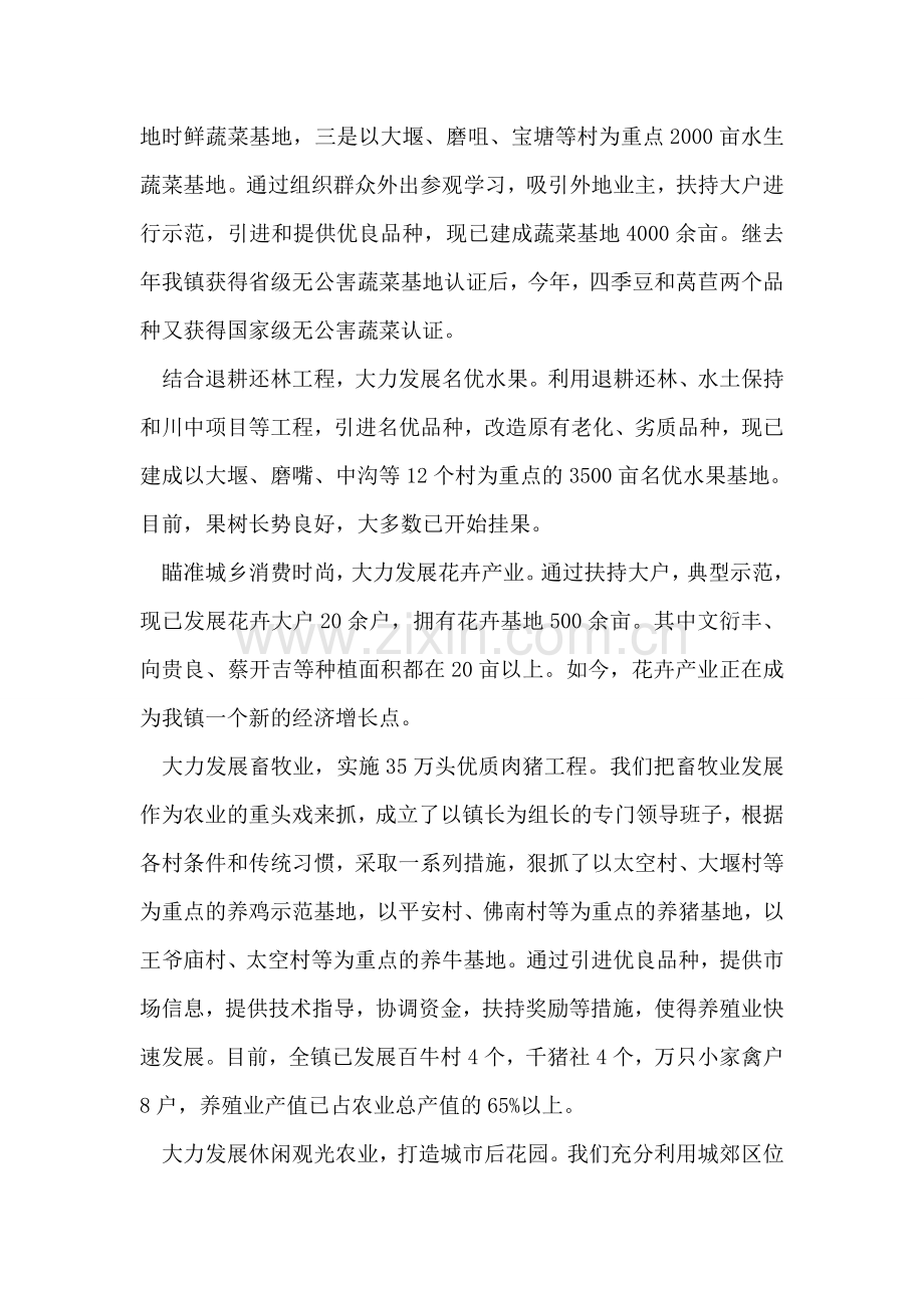 依托城市谋发展-打造特色奔小康-(镇长的讲话材料).doc_第2页