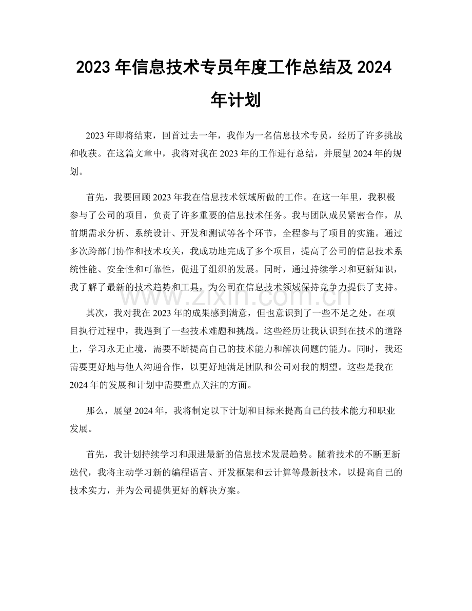 2023年信息技术专员年度工作总结及2024年计划.docx_第1页