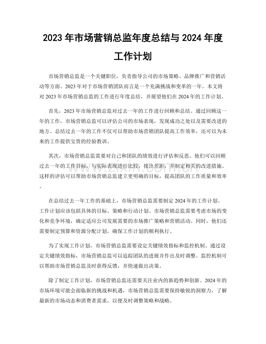 2023年市场营销总监年度总结与2024年度工作计划.docx_第1页